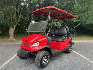 golf cart maintenance, orlando golf cart service, battery service